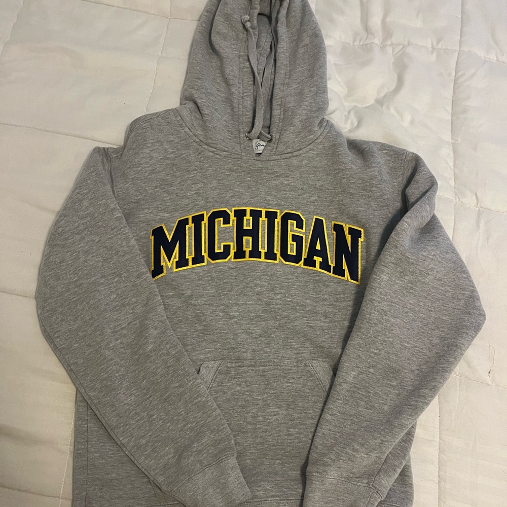 Gray Michigan Hoodie